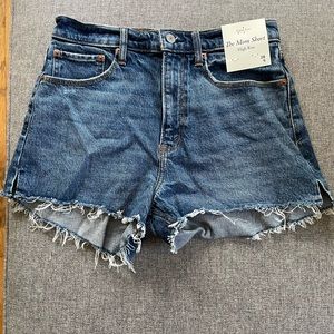 Abercrombie & Fitch Curve Love Mom Short High Rise